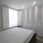 Paraiso Do Neto